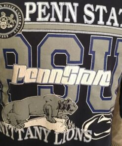 Vintage Style Penn State University Ninety Lions 1980s Sweatshirt, Penn State Sweater, Gift for Her, Gift For Him