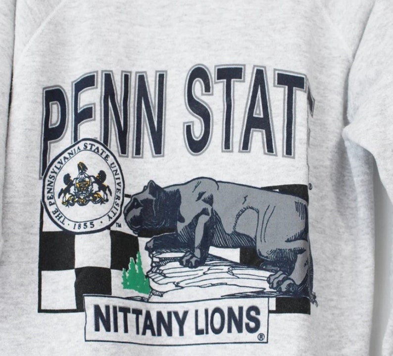 Vintage Style Penn State University Nittany Lions Sweatshirt, Penn State Sweater, Gift for Fans, Penn State University Sweatshirt, Hoodie, Shirt