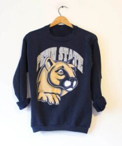 Vintage Style Penn State University Sweatshirt, Penn State Sweater, Gift for Her, Gift For Him, Penn State Sweatshirt