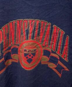 Vintage Style University Of Pennsylvania sweatshirt, Pennsylvania University Sweater, Vintage Style 90s Shirt, Gift For Her, Gift For Him