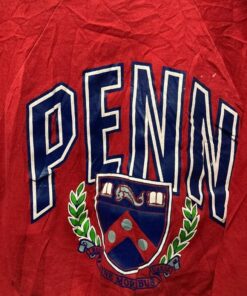 Vintage Style University of Penn State Nittany Lions sweatshirt, Vintage Style 90s Shirt, Vintage Style NCAA Penn State Shirt, Gift For Her, Gift For Him