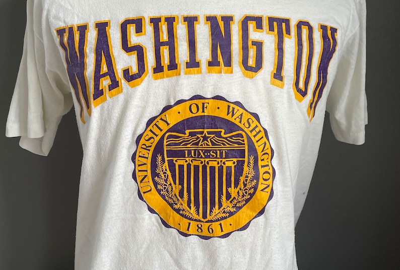 Vintage University of Washington Huskies NCAA College 1980s Crewneck Tshirt, College Sports Graphic Tshirt, Vintage UW Huskies Small