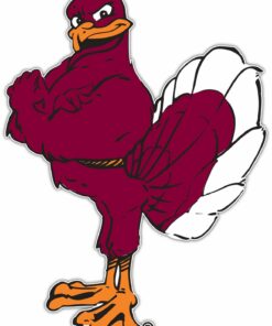 Virginia Tech Hokies NCAA Vinyl Decals Sticker For Car Truck Door And Window Laptop