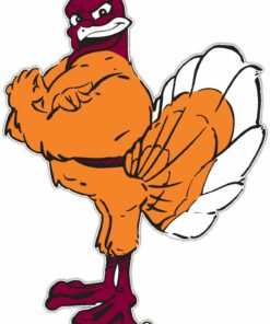 Virginia Tech Hokies NCAA Vinyl Decals Sticker For Car Truck Door And Window Laptop Gift For Fan