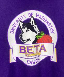 Washington Huskies Sweatshirt Small Vintage University of Washington Football Pullover Sweater