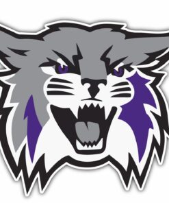 Weber State Wildcats University College NCAA Logo Vinyl Decals Sticker For Car Truck Door And Window Laptop Gifts For Fans