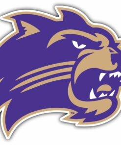 Western Carolina Catamounts College NCAA Logo Vinyl Decals Sticker For Car Truck Door And Window Laptop Gifts For Fans