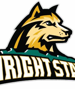 Wright State Raiders NCAA Logo Vinyl Decals Sticker For Car Truck Door And Window Laptop