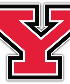 Youngstown State Penguins College NCAA Logo Vinyl Decals Sticker For Car Truck Door And Window Laptop Gift For Fans