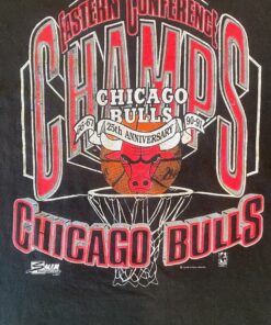 1991 Chicago Bulls 25Th Anniversary Tshirt Hoodie Crewneck Sweatshirt Reprinted Full Color Full Size Gifts for NBA Fans