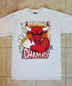 1993 Chicago Bulls Tshirt Hoodie Crewneck Sweatshirt Reprinted Full Color Full Size Gifts for NBA Fans
