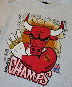 1993 Chicago Bulls Tshirt Hoodie Crewneck Sweatshirt Reprinted Full Color Full Size Gifts for NBA Fans