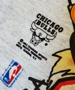 1993 Chicago Bulls Tshirt Hoodie Crewneck Sweatshirt Reprinted Full Color Full Size Gifts for NBA Fans