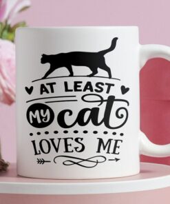Anti Valentine Mug, Cat Loves Me Mug, Aesthetic Mug, Sassy Mug, Cups With Funny Sayings, Quote Coffee Mugs
