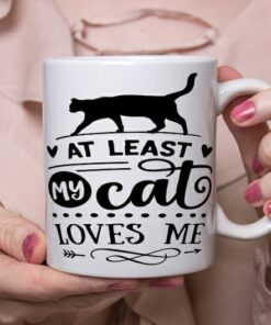 Anti Valentine Mug, Cat Loves Me Mug, Aesthetic Mug, Sassy Mug, Cups With Funny Sayings, Quote Coffee Mugs