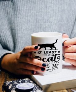 Anti Valentine Mug, Cat Loves Me Mug, Aesthetic Mug, Sassy Mug, Cups With Funny Sayings, Quote Coffee Mugs