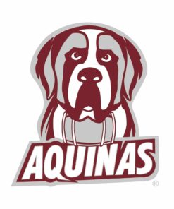 Aquinas Saints Primary Logo - NCAA University Shirt Sweatshirt Pullover Hoodie Reprinted Full Color Full Size
