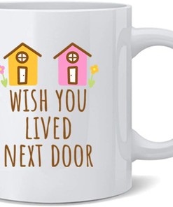 Best Friend Wish You Lived Next Door Mug - A Cute and Novelty Gift for Friendship and Sisterhood