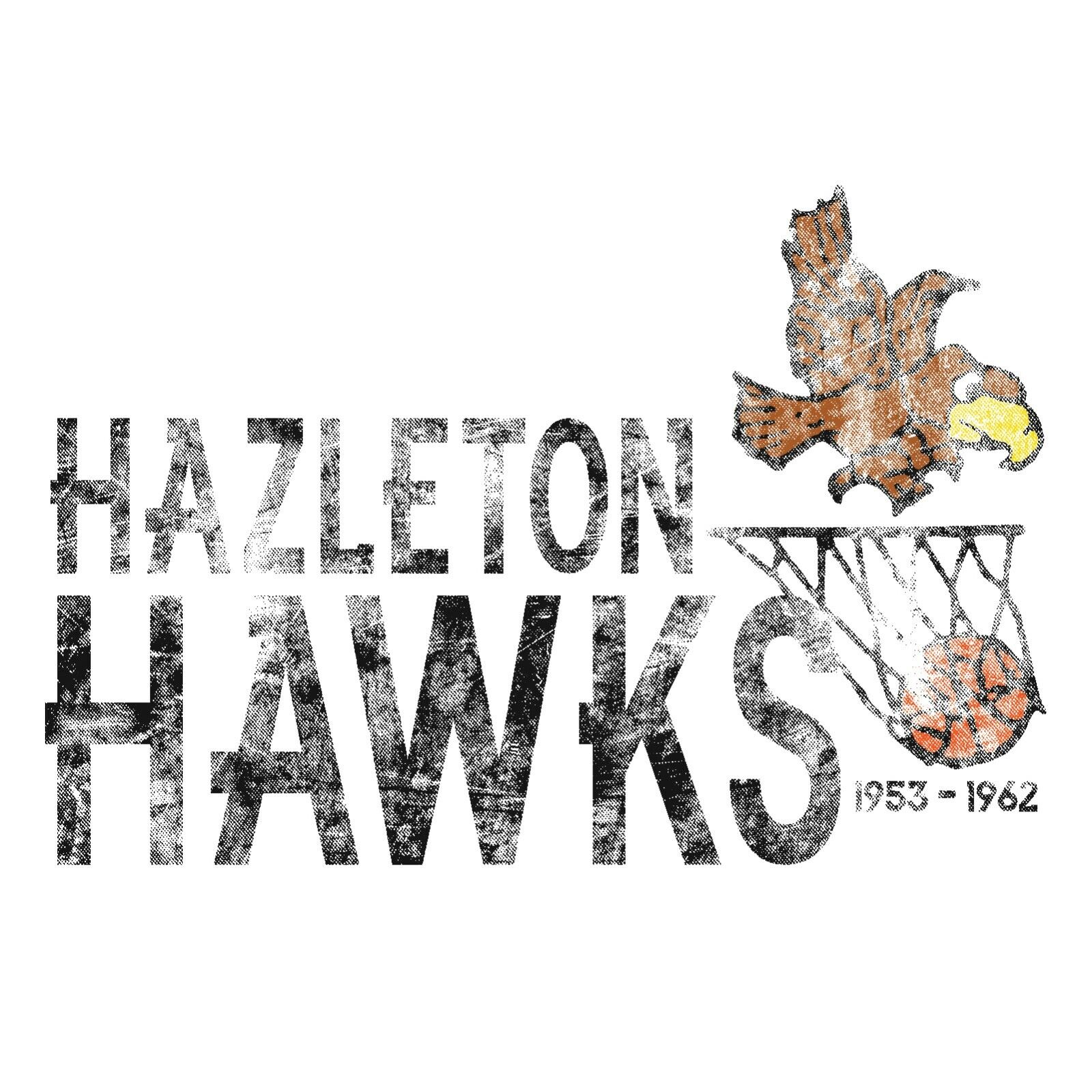 CBA Hazleton Hawks UGP Classics Basic Shirt Sweatshirt Pullover Hoodie Reprinted Full Color Full Size