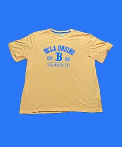 Champion Ucla Bruins College T-Shirt Sweatshirt Pullover Hoodie Reprinted Full Color Full Size Gift For NCAA Fans