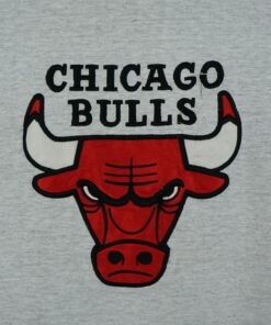 Chicago Bulls Emroided Logo 1990s Tshirt Hoodie Crewneck Sweatshirt Reprinted Full Color Full Size Gifts for NBA Fans