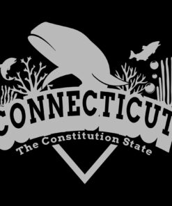 Connecticut Whale Arch - Hometown State Pride Shirt Sweatshirt Pullover Hoodie Reprinted Full Color Full Size