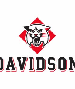 Davidson Wildcats Distressed Circle Logo Shirt Sweatshirt Pullover Hoodie Reprinted Full Color Full Size