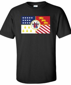 Detroit US City Flag Basic Shirt Sweatshirt Pullover Hoodie Reprinted Full Color Full Size