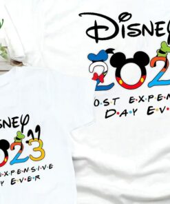 Disney Friends 2023 Shirts, Disneyland Shirts, Disneyworld shirts, Mickey and Minnie Shirts, Disneyland matching Family shirts Disney Shirts