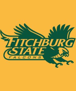Fitchburg Falcons Primary Logo Shirt Sweatshirt Pullover Hoodie Reprinted Full Color Full Size