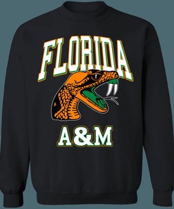Florida A&M Rattlers Vintage NCAA Crewneck Sweatshirt Hoodie Shirt Gifts for Fans