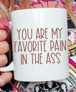 Funny Valentines Day Gift For Him Youre My Favorite Pain In The Ass Mug Husband Gift Wife Boyfriend Mug