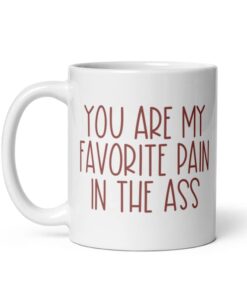 Funny Valentines Day Gift For Him Youre My Favorite Pain In The Ass Mug Husband Gift Wife Boyfriend Mug