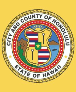 Honolulu US City Flag Basic Shirt Sweatshirt Pullover Hoodie Reprinted Full Color Full Size