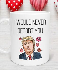 I Would Never Deport You Valentine's Day Mug, Valentine’s Day Gift, Valentine Day Mug, Anniversary Mug, Funny Valentines Mug