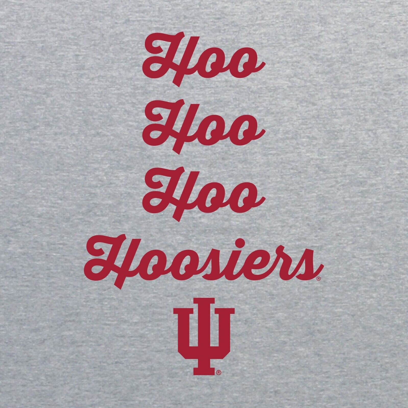 Indiana Hoosiers Spirited Script Shirt Sweatshirt Pullover Hoodie Reprinted Full Color Full Size