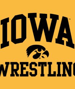 Iowa Hawkeyes Arch Logo Wrestling Shirt Sweatshirt Pullover Hoodie Reprinted Full Color Full Size