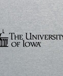 Iowa Hawkeyes Institutional Logo Shirt Sweatshirt Pullover Hoodie Reprinted Full Color Full Size