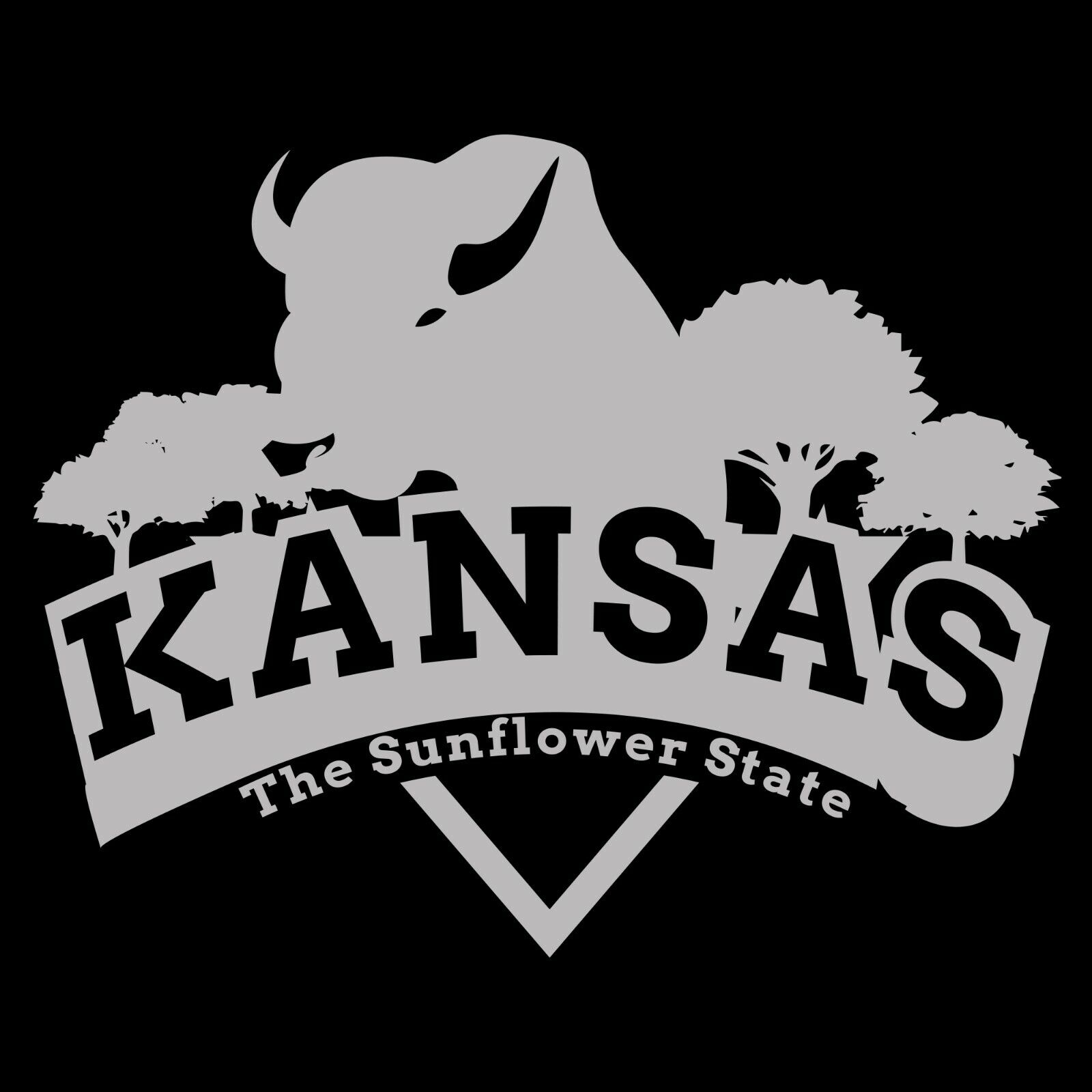 Kansas Buffalo Arch - Hometown State Pride Shirt Sweatshirt Pullover Hoodie Reprinted Full Color Full Size