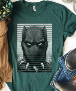 Marvel Black Panther 2 T'Challa 1976 Ruler of Wakanda Forever T-Shirt, Black Panther 2022 Hoodie Sweatshirt, Chadwick Boseman Shirt,