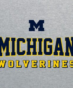 Michigan Wolverines Shadow Stretch Block Shirt Sweatshirt Pullover Hoodie Reprinted Full Color Full Size