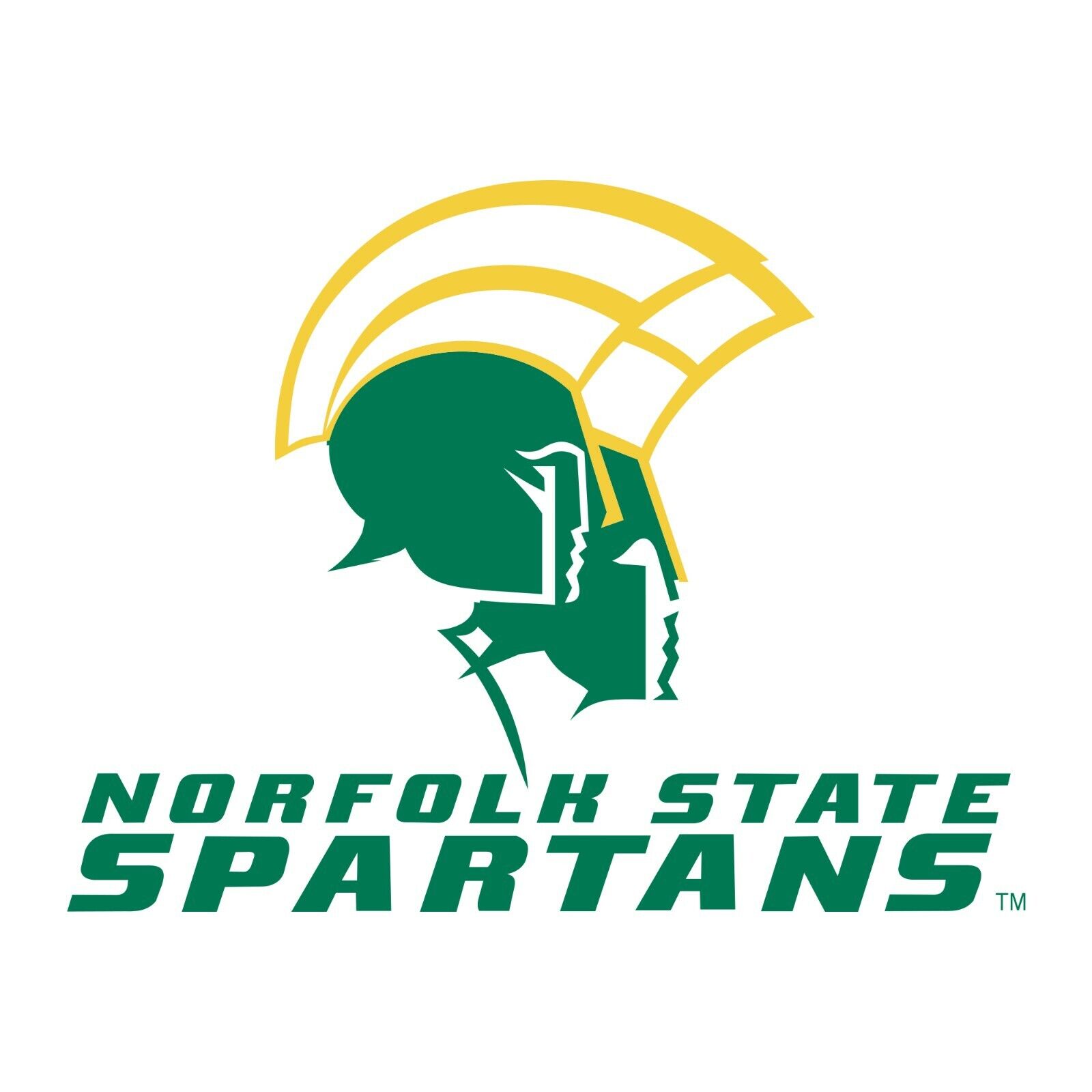 Norfolk State Spartans Primary Logo - University College Youth Shirt Sweatshirt Pullover Hoodie Reprinted Full Color Full Size
