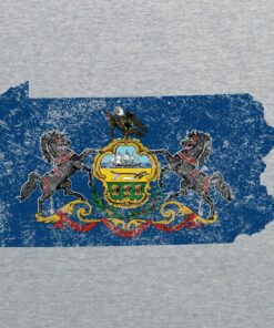 Pennsylvania Distressed State Flag Outline USA Crewneck Shirt Sweatshirt Pullover Hoodie Reprinted Full Color Full Size
