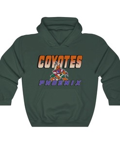 Phoenix Coyotes KACHINA Vintage NHL Hoodie Sweatshirt Shirt Gifts for Fans
