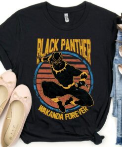 Retro Vintage Marvel Black Panther 2 Wakanda Forever T-Shirt, T'Challa 1976 The King Of Wakanda Sweatshirt, Long Live The King Shirt, MCU