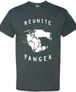Reunite Pangea Basic Shirt Sweatshirt Pullover Hoodie Reprinted Full Color Full Size