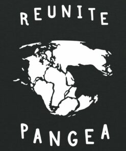 Reunite Pangea Basic Shirt Sweatshirt Pullover Hoodie Reprinted Full Color Full Size