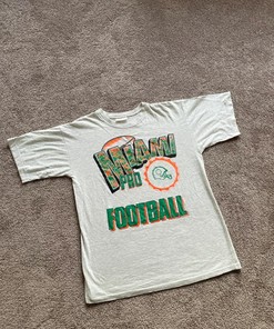 Single Stitch Miami Pro Football Tshirt Pullover Hoodie Crewneck Sweatshirt Reprinted Full Color Full Size Gifts For NFL Fans