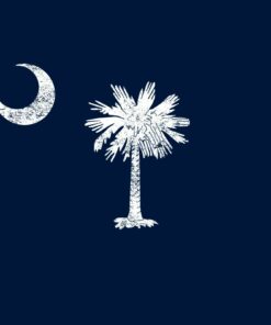 South Carolina State Flag - Hometown Pride Souvenir Basic Shirt Sweatshirt Pullover Hoodie Reprinted Full Color Full Size