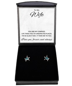 To My Wife Turtle Earrings You Are My Compass - Birthday, Engagement, Wedding, Valentines Day Gifts For Wife From Husband